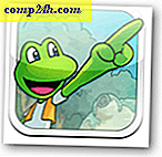 Frogger blir 30-Frogger Decades Released för Apple App-Store