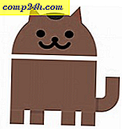 Lås den hemmelige kat indsamle påskeæg i Android 7.0 Nougat