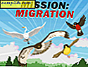 Bez żartów!  Windows 2000 To Windows 7 Migration Tool wydany [groovyDownload]