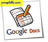 Revisionshistorik lades idag till Google Spreadsheets