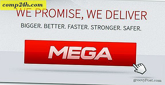 Kim Dotcom kunngjør Megaupload Replacement Called Mega