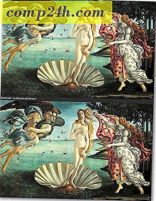 Photoshopping van beroemde kunst Venus